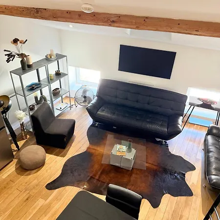 Apartman L'antonin - Clim Mobile - Metro A Et D Lyon
